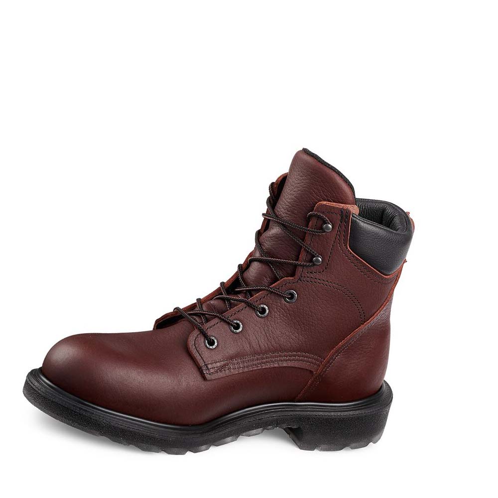 Red Wing SuperSole® 2.0 6-inch Men's Safety Boots Burgundy | ZA 285FDN